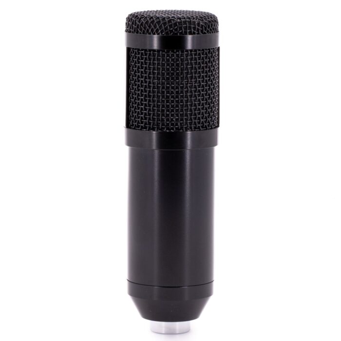 CAD Audio U49, USB Large Format Side Address Studio Microphone with Headphone Monitor and Echo - Image 4